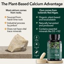plantfusion-organic-vegan-calcium-premiu-2.jpg
