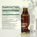 plant-therapy-organic-ashwagandha-root-h-3.jpg