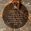 herb-essential-organic-ashwagandha-root--5.jpg