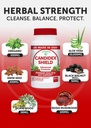 lunakai-usa-made-candida-cleanse-detox-f-3.jpg