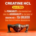 creatine-hcl-with-shilajit-workout-suppl-4.jpg