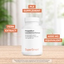 supersmart-polypodium-leucotomos-extract-3.jpg