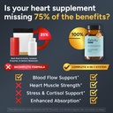 melody-heart-tune-4-in-1-blood-pressure--2.jpg