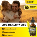 herbify-bundle---mullein-leaf-extract-le-3.jpg
