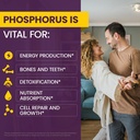 wellnessone-ionic-phosphorus-supplements-3.jpg