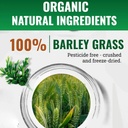 naveta-barley-grass-powder-100-pure-orga-4.jpg
