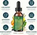 2-pack-6-in-1-mullein-drops-for-lungs-or-2.jpg
