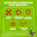 flintstones-plus-iron-multivitamins-60-c-5.jpg