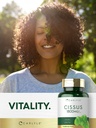 carlyle-cissus-quadrangularis-200-capsul-6.jpg