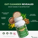 colon-15-day-cleanse-advanced-gut-health-4.jpg