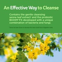 purely-inspired-detox-cleanse-7-day-clea-3.jpg