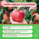 inner-brightness-apple-cider-vinegar-gum-4.jpg