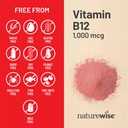 naturewise-vitamin-b12-1000-mcg-dietary--5.jpg