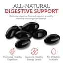 zahler-paraguard-cleanse-softgels-gut-he-4.jpg