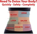detox-drink-kit-cleansing-drink-8-oz-det-4.jpg