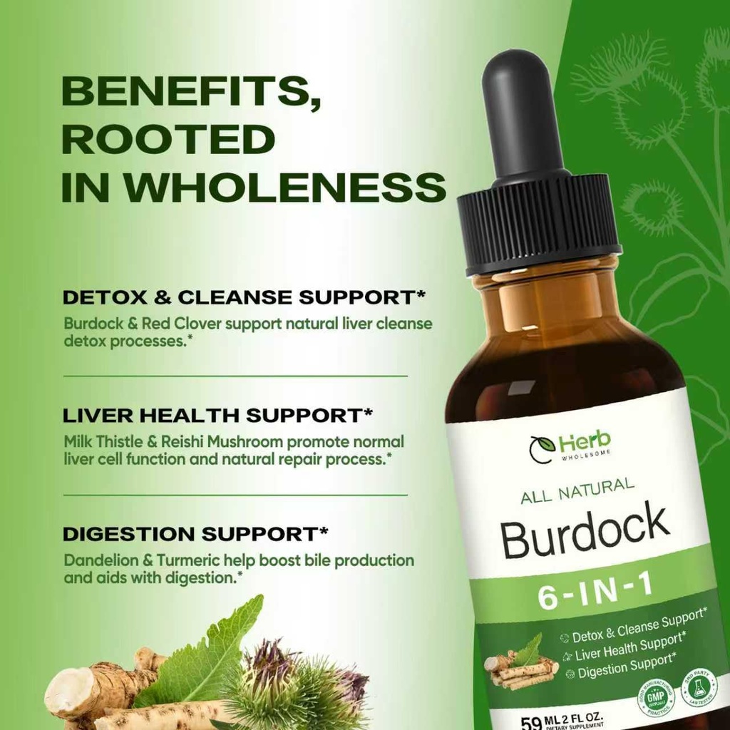 burdock-root-extract-drops-for-liver-hea-2.jpg