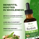 burdock-root-extract-drops-for-liver-hea-2.jpg