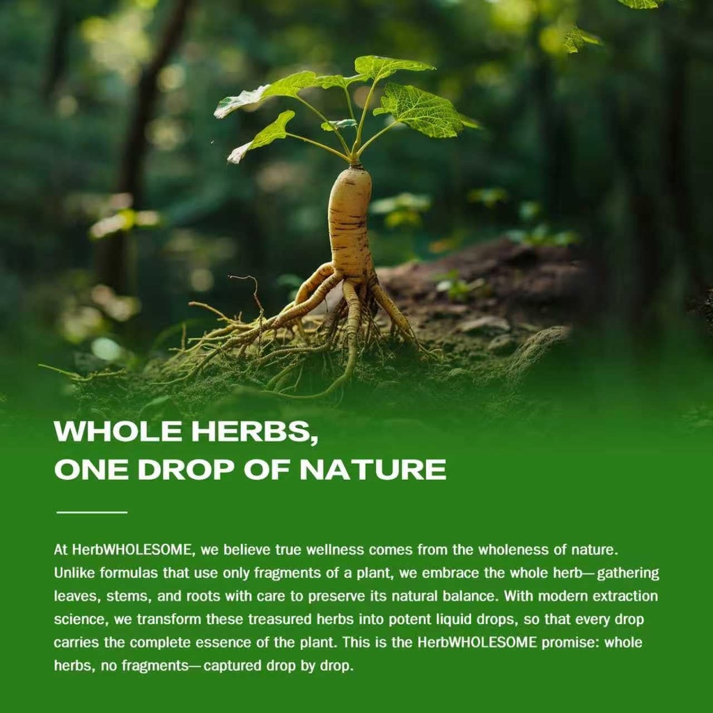 burdock-root-extract-drops-for-liver-hea-6.jpg