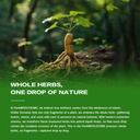 burdock-root-extract-drops-for-liver-hea-6.jpg