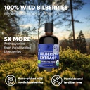 jungle-powders-wild-bilberry-extract-3x3-5.jpg