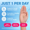 dr-berg-probiotic-supplement-60-billion--3.jpg