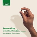 andrew-lessman-prostate-support-suppleme-6.jpg