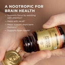 solgar-memory-support-brain-dietary-supp-4.jpg
