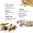 dr-barry-s-total-liver-supplement-with-m-3.jpg