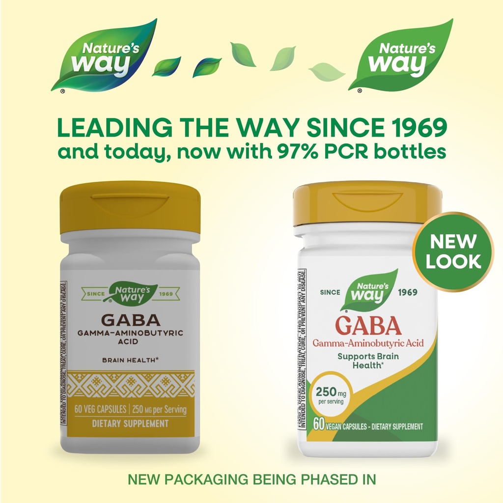 nature-s-way-gaba-gamma-aminobutyric-aci-2.jpg