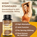 liposomal-turmeric-curcumin-2200-mg-with-5.jpg