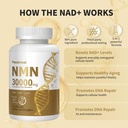 nmn-supplement-1000mg-with-resveratrol-3-4.jpg
