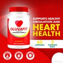 2-pack-gluvafit-capsules-official-formul-3.jpg