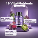 milk-thistle-supplement-supports-liver-h-3.jpg