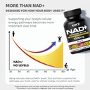 zoni-nutriton-nad-supplement-liposomal-m-6.jpg