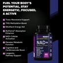 nad-resveratrol-supplement-longevity-for-4.jpg