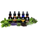 cedar-bear-immune-blast-off-for-kids-a-l-5.jpg