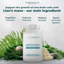 nootropics-brain-memory-and-focus-supple-5.jpg