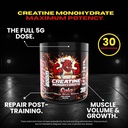 creatine-for-strength-muscle-energy-prod-5.jpg