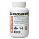 pattern-wellness-maca-root-extract-20-1--2.jpg