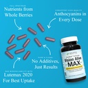 holistic-health-labs-vision-alive-max-wi-3.jpg