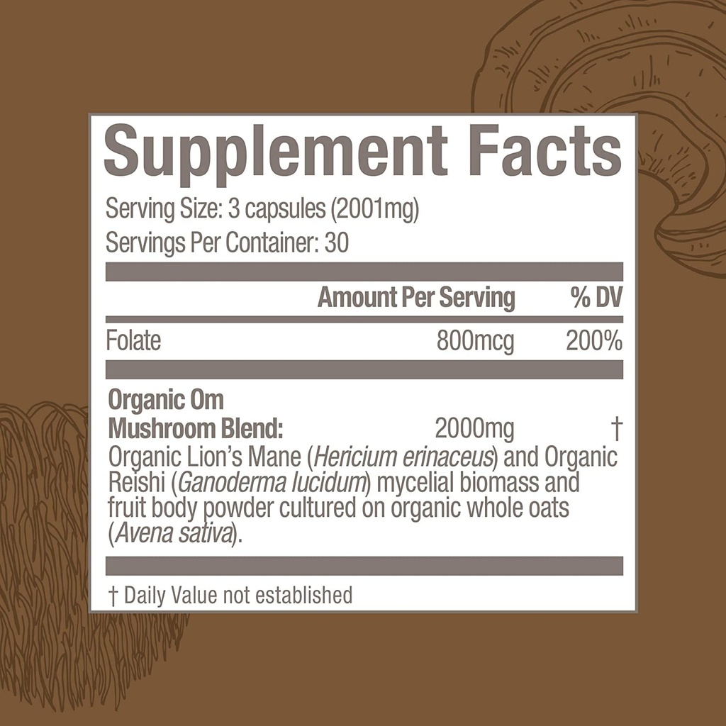 om-mushroom-superfood-brain-fuel-mushroo-5.jpg
