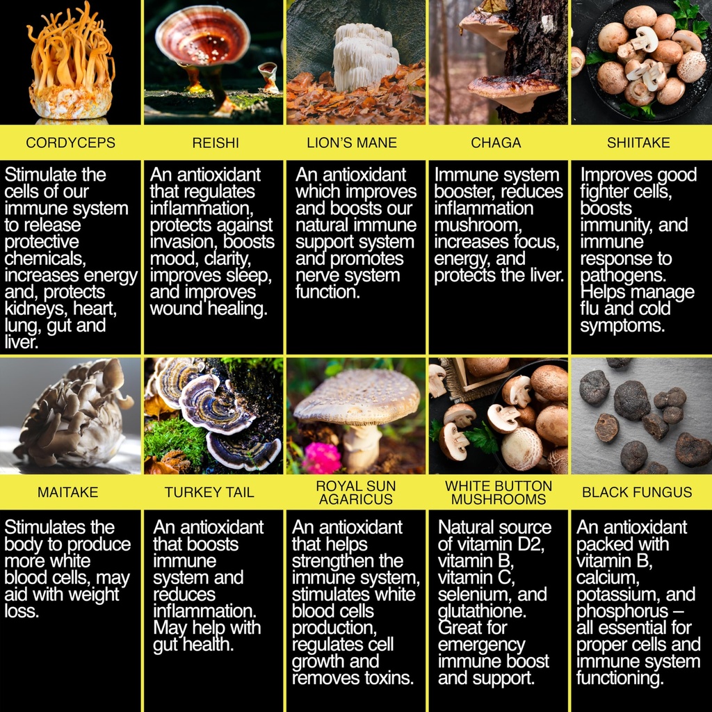 the-enclare-nutrition-mushroom-supplemen-6.jpg