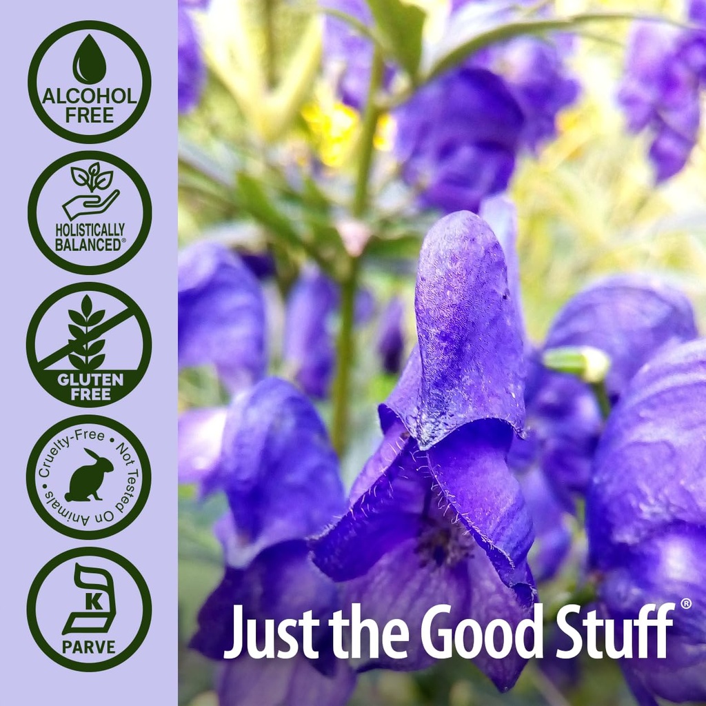 nature-s-answer-alcohol-free-skullcap-he-4.jpg