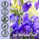 nature-s-answer-alcohol-free-skullcap-he-4.jpg