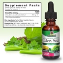 nature-s-answer-celery-seed-with-organic-4.jpg