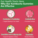 probiotic-kombucha-gummy-prebiotics-prob-5.jpg