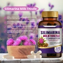 silimarina-milk-thistle-combination-2-pa-3.jpg
