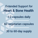life-extension-extend-release-magnesium--5.jpg