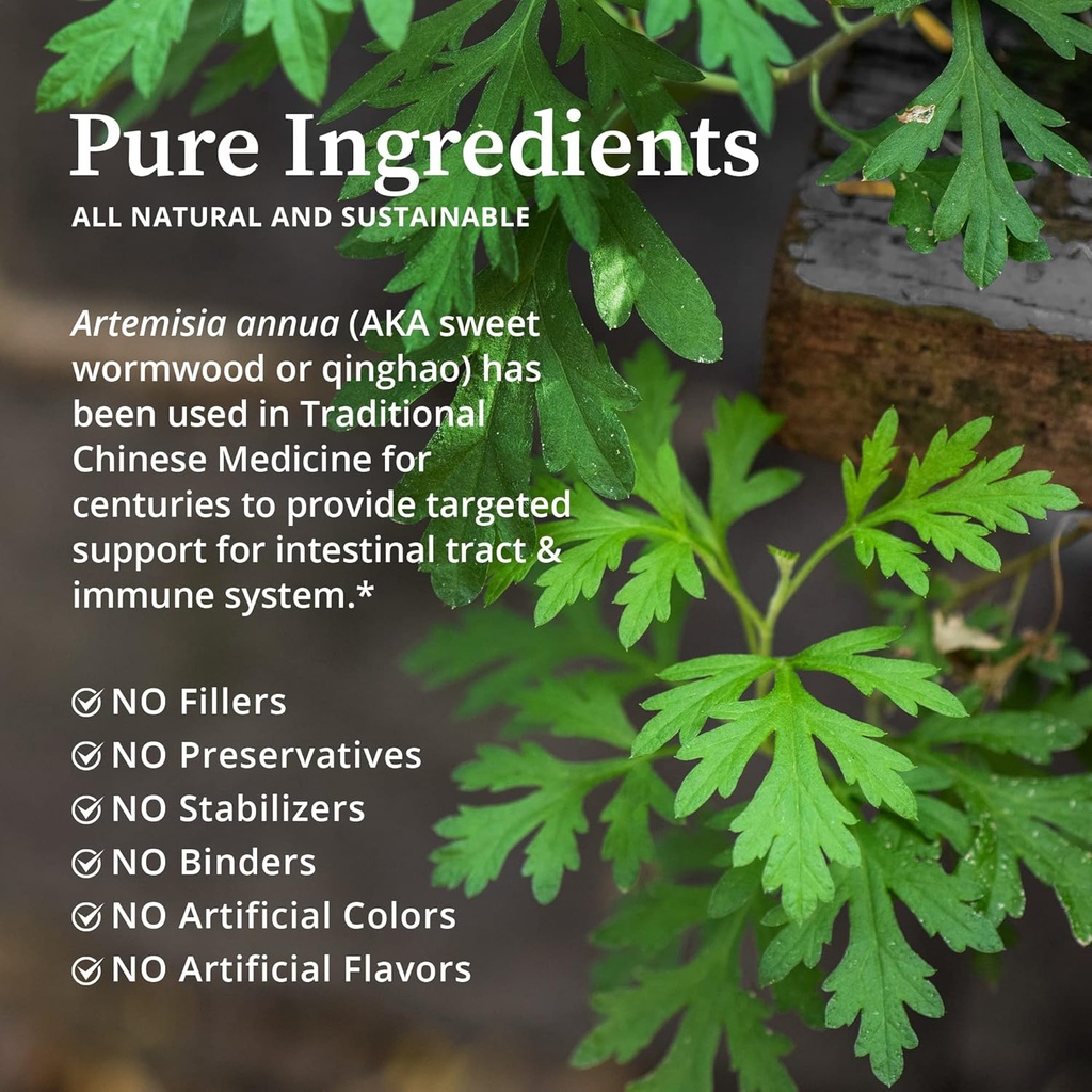 biopure-artemis-herbal-extract-of-artemi-3.jpg