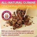 quinine-liquid-extract-2oz-restless-legs-4.jpg